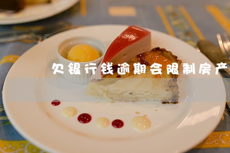 欠银行钱逾期会限制房产买卖吗 欠银行钱逾期会限制房产买卖吗
