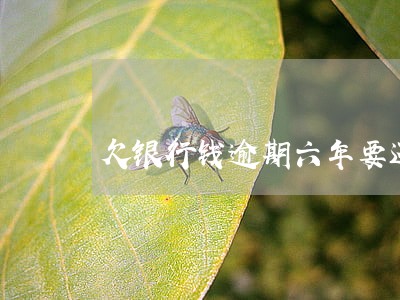 欠银行钱逾期六年要还多少钱 欠银行钱逾期六年要还多少钱