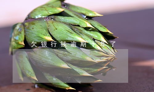 欠银行钱逾期十年了 欠银行钱逾期十年了