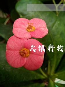 欠银行钱逾期多久会进去 欠银行钱逾期多久会进去