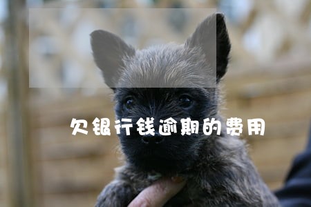 欠银行钱逾期的费用 欠银行钱逾期的费用