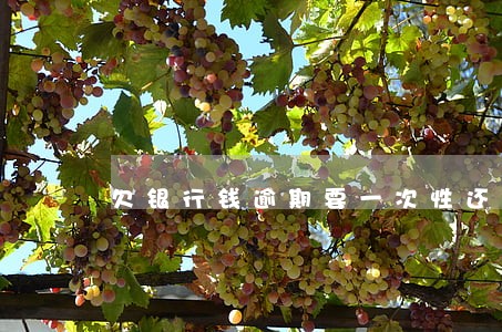 欠银行钱逾期要一次性还 欠银行钱逾期要一次性还