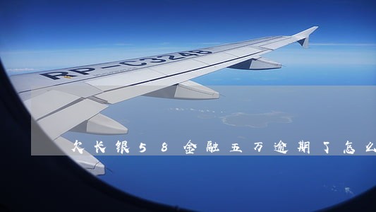 欠长银58金融五万逾期了怎么办 欠长银58金融五万逾期了怎么办