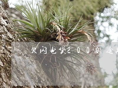 欠闪电贷2000逾期几年了 欠闪电贷2000逾期几年了