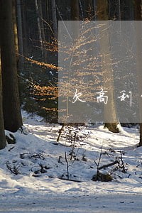 欠高利贷只还本金 欠高利贷只还本金
