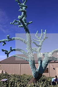 次级类贷款必须满足逾期吗 次级类贷款必须满足逾期吗