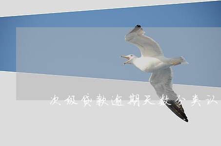 次级贷款逾期天数分类认定 次级贷款逾期天数分类认定