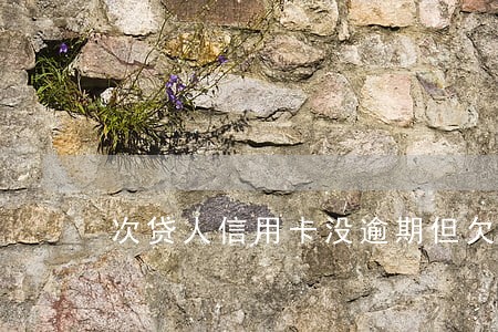 次贷人信用卡没逾期但欠款 次贷人信用卡没逾期但欠款