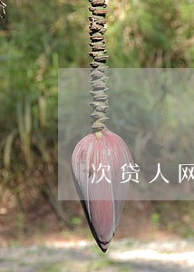 次贷人网贷未逾期影响主贷人 次贷人网贷未逾期影响主贷人