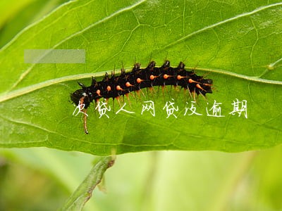 次贷人网贷没逾期 次贷人网贷没逾期