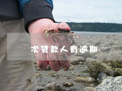 次贷款人有逾期 次贷款人有逾期