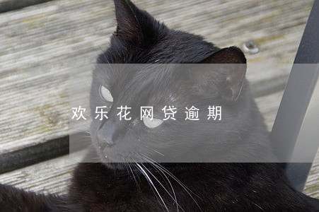 欢乐花网贷逾期 欢乐花网贷逾期