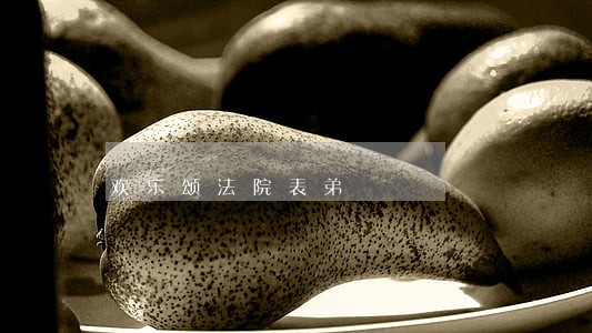 欢乐颂法院表弟 欢乐颂法院表弟