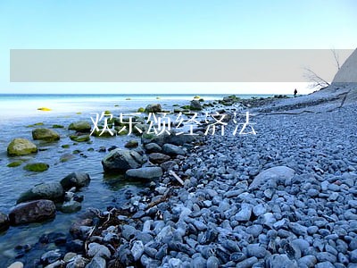 欢乐颂经济法