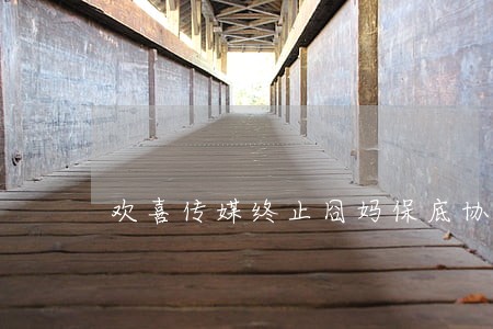 欢喜传媒终止囧妈保底协议违法吗 欢喜传媒终止囧妈保底协议违法吗