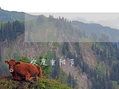 欢度重阳节