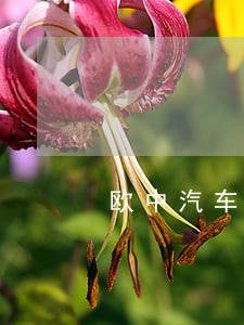 欧中汽车诉讼迫近 欧中汽车诉讼迫近