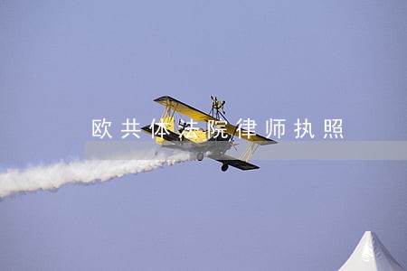 欧共体法院律师执照 欧共体法院律师执照