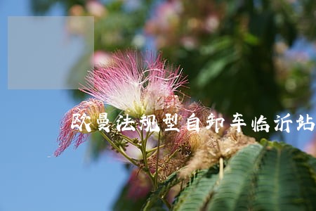 欧曼法规型自卸车临沂站进化上市 欧曼法规型自卸车临沂站进化上市