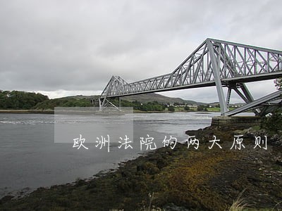 欧洲法院的两大原则 欧洲法院的两大原则