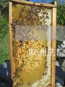 欧洲法院送达方式借鉴 欧洲法院送达方式借鉴