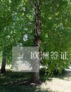 欧洲签证信用卡逾期