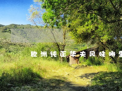 欧洲纯正华夫风味哪里违法了