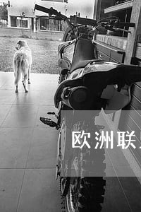 欧洲联盟法院包括 欧洲联盟法院包括
