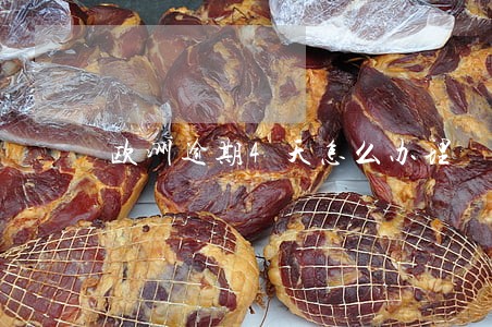 欧洲逾期4天怎么办理