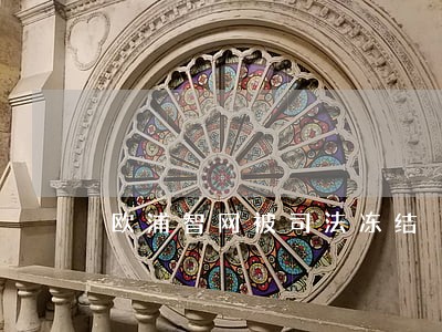 欧浦智网被司法冻结