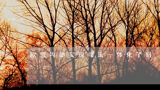 欧盟内部实现司法一体化了吗