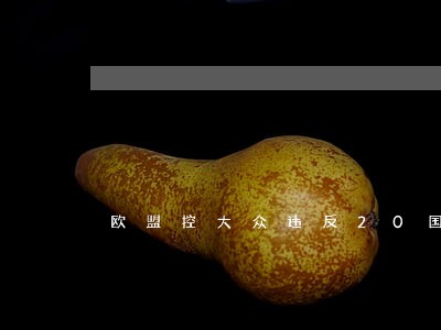 欧盟控大众违反20国消费者法律 欧盟控大众违反20国消费者法律