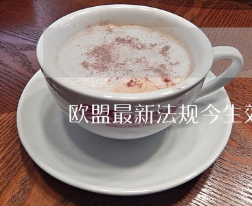 欧盟最新法规今生效 欧盟最新法规今生效