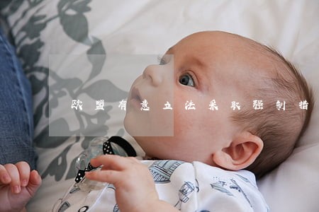 欧盟有意立法采取强制措施 欧盟有意立法采取强制措施