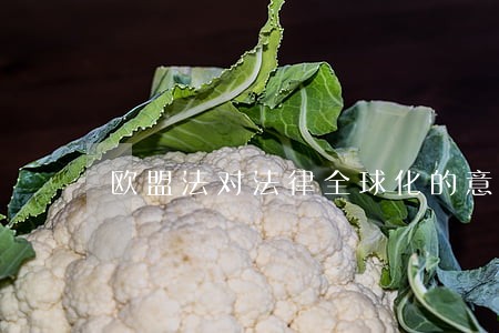 欧盟法对法律全球化的意义 欧盟法对法律全球化的意义