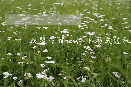 欧盟法律一体化形成过程是什么 欧盟法律一体化形成过程是什么