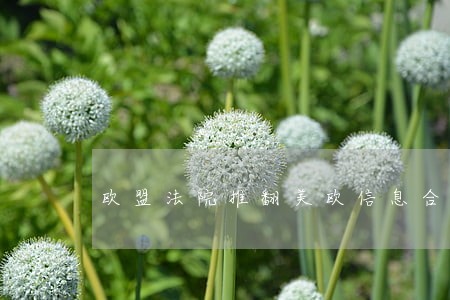 欧盟法院推翻美欧信息合作 欧盟法院推翻美欧信息合作