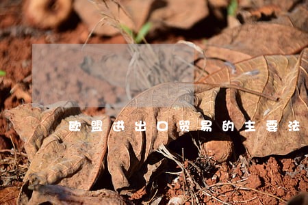 欧盟进出口贸易的主要法规包括 欧盟进出口贸易的主要法规包括