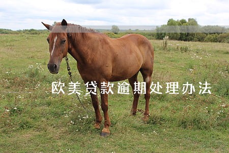 欧美贷款逾期处理办法 欧美贷款逾期处理办法