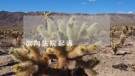 欲向法院起诉 欲向法院起诉