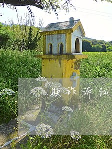 欺诈诉讼罪的法律规定