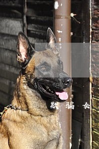 欺骗女朋友感情违法吗 欺骗女朋友感情违法吗
