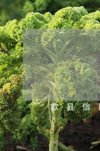 歙县信用卡逾期人名单 歙县信用卡逾期人名单