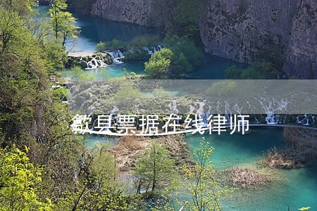 歙县票据在线律师