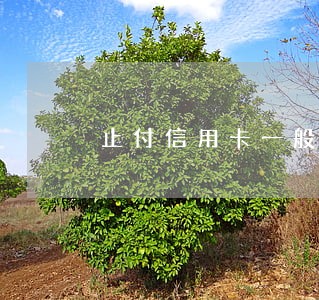 止付信用卡一般逾期多长时间 止付信用卡一般逾期多长时间