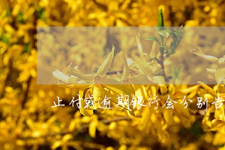 止付或逾期银行会分别告知吗