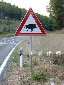 正义律师不畏强权 正义律师不畏强权