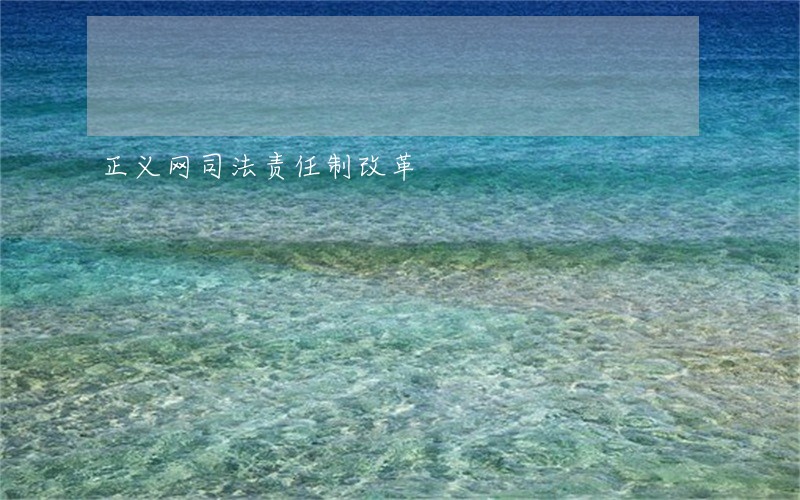 正义网司法责任制改革