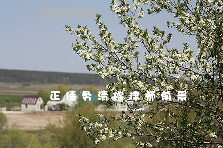 正债务清偿律师前景 正债务清偿律师前景