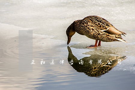 正和法律咨询有限公司 正和法律咨询有限公司